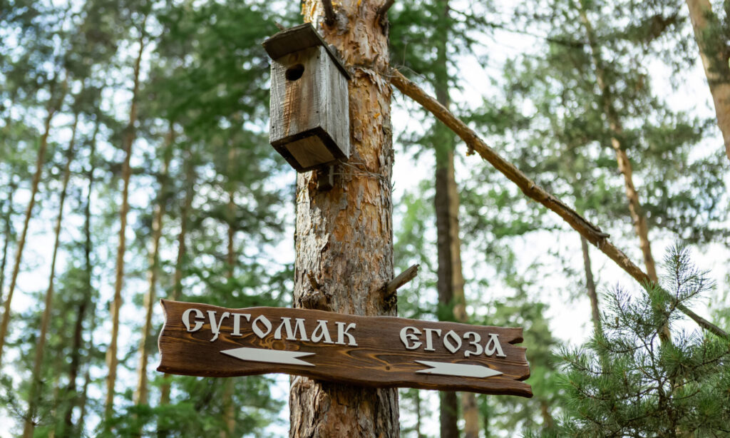 Экотропы